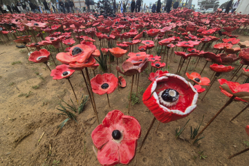 Old website size images (1)