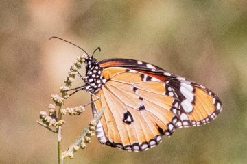 WhatsApp Image 2025-12-18 at 17.47.47