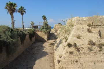 Crusader walls