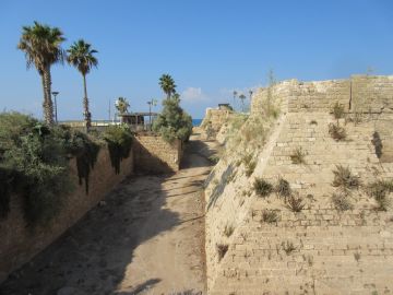 Crusader walls