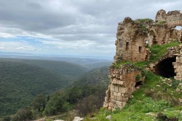 Galil view