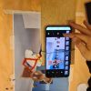 Animation