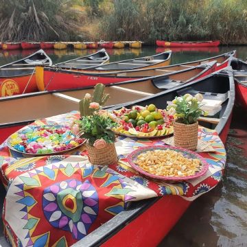 robroypicnic