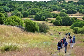 hol hamoed hike david broza